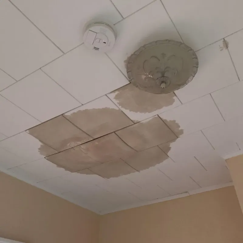 Ceiling Water Damage Repair in Doylestown, OH